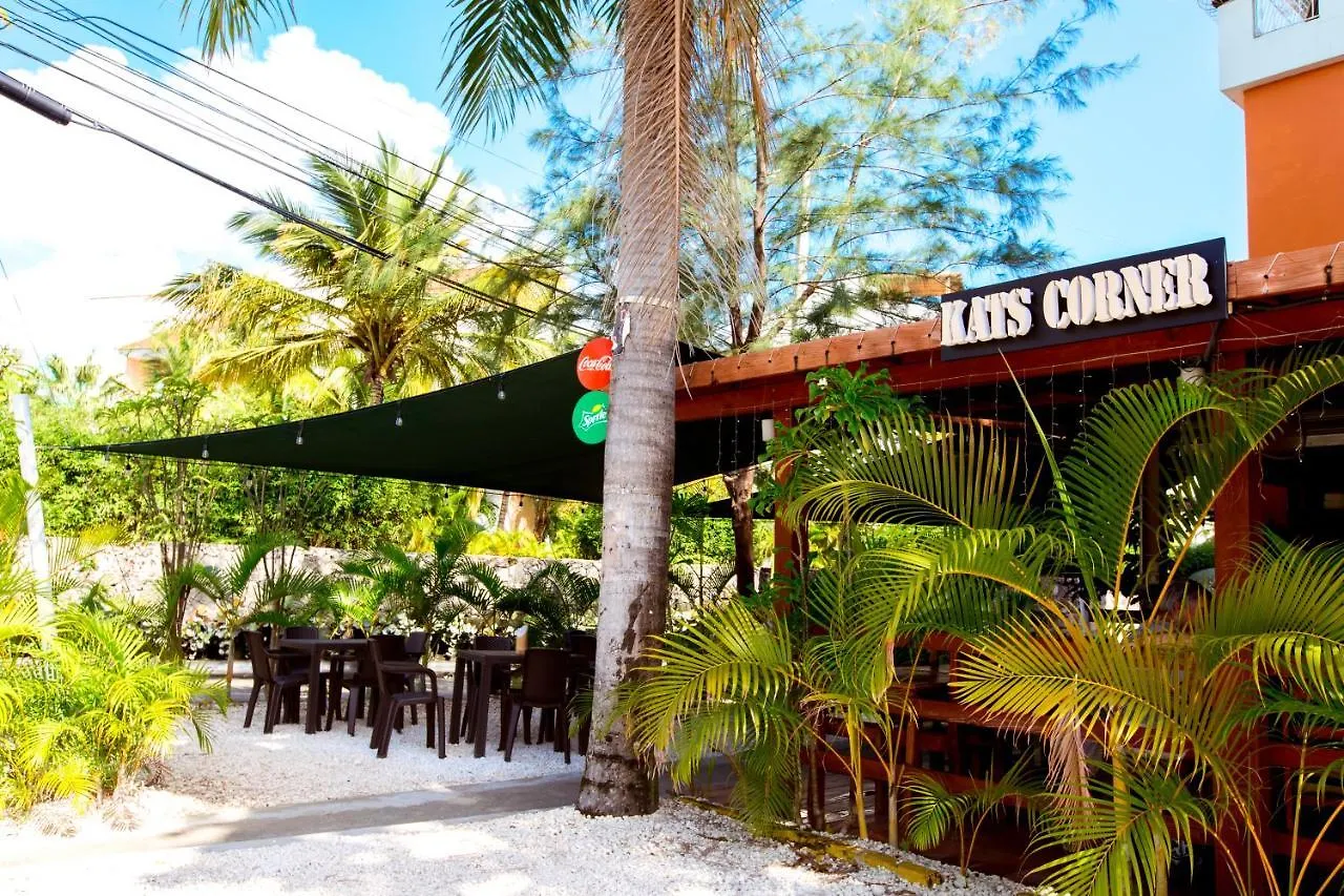 Hotel Ducassi Suites Rooftop Pool - Beach Club And Spa Punta Cana
