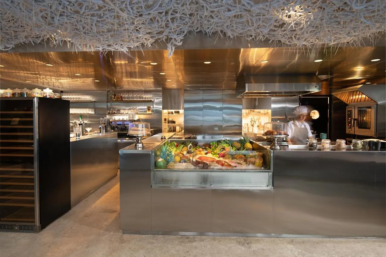 بونتا كانا Ducassi Suites Rooftop Pool - Beach Club And Spa بونتا كانا
